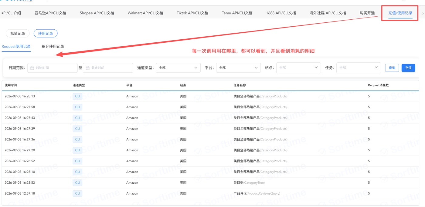 充值记录与 Request 使用记录列表